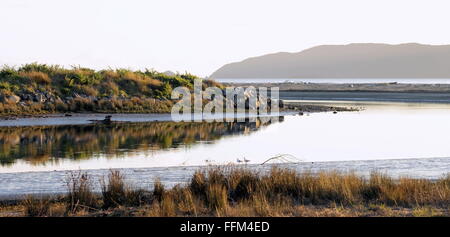 Waikanae Kapiti, estuaire, Wellington, Nouvelle-Zélande. Banque D'Images