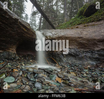 Cascade dans la forêt tropicale le long du détroit de Juan de Fuca, sur l'île de Vancouver. Banque D'Images