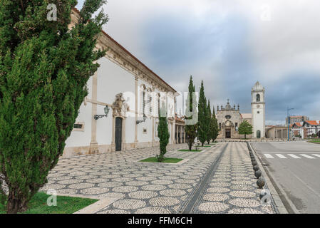 La Cathédrale d'Aveiro, également connu sous le nom de l'église de Saint Dominique qui est une cathédrale catholique romaine à Aveiro, Portugal Banque D'Images