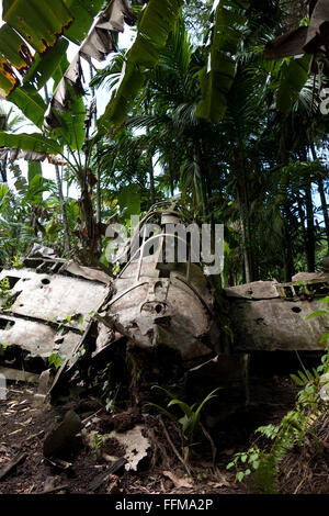 Avion de chasse japonais, zéro, l'épave dans la jungle. Bataille de Peleliu, Palau 1944, opposant les États-Unis et le Japon dans la seconde guerre mondiale Banque D'Images