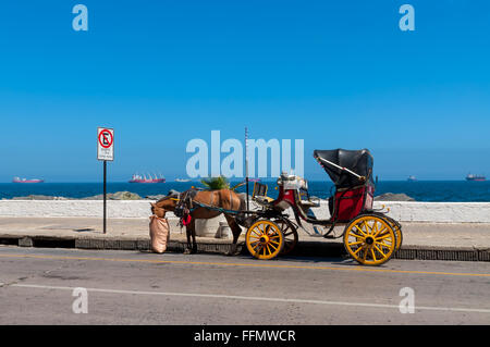 Un transport touristique à travers la ville. Vina del Mar, Chili Banque D'Images