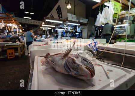 TOKYO - 11 mai : Les acheteurs visitent le marché aux poissons de Tsukiji, le 11 mai 2014 à Tokyo. C'est le plus grand marché de gros poissons et fruits de mer Banque D'Images