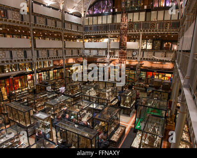 Photo panoramique du Pitt Rivers Museum d'Oxford, au Royaume-Uni (à l'Est de l'Oxford University Museum of Natural History) Banque D'Images