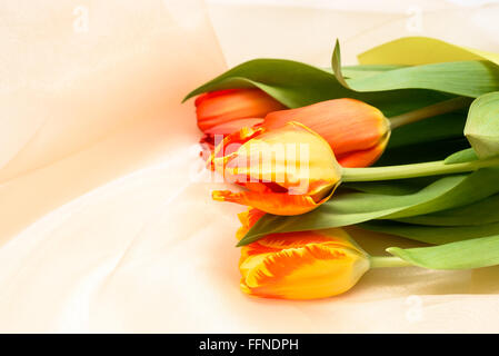 Bouquet de tulipes jaune orange sur fond beige Banque D'Images