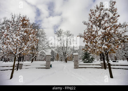 London, Canada - le 24 novembre 2013. Les arbres et l'entrée au parc Victoria, sont couvertes de neige après plus de 60cm sont tombés. Banque D'Images