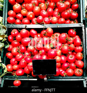 Les tomates dans un panier Banque D'Images