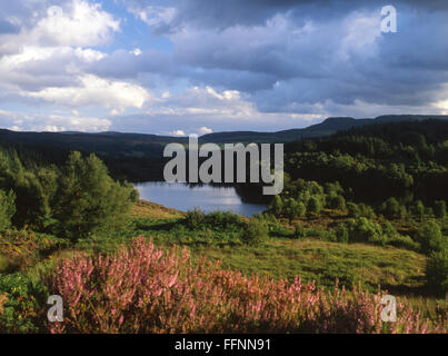 L'ELSI Llyn Lac de montagne dans la forêt au dessus Gwydyr Betws-Y-Coed Conwy Snowdonia National Park County North Wales UK Banque D'Images