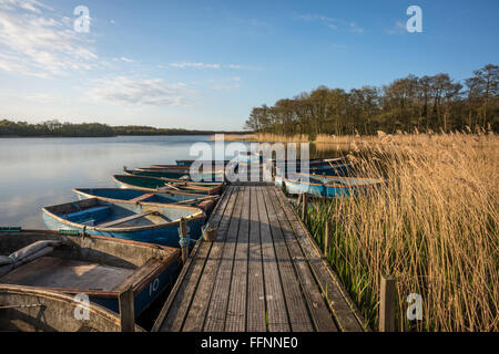 Ormesby peu large, vue forme Filby Bridge, Norfolk Banque D'Images