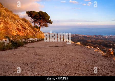 Chemin de béton en zone de montagne avec arbres d'Alep, pas de crash barrière durant beau coucher du soleil. MIjas, Espagne. Banque D'Images