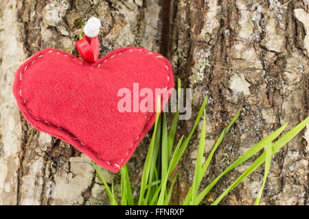 Cœur rouge sur une écorce d'arbre avec de l'herbe Banque D'Images