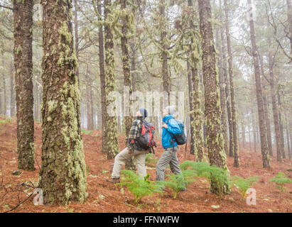 Homme et femme les randonneurs en forêt de pins misty dans les montagnes de la Grande Canarie, Canaries, Espagne, Europe Banque D'Images