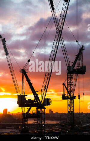 Grues à tour sur la nouvelle Place Bloomberg office développement dans la ville de London, EC4 qui se profile à l'horizon au coucher du soleil Banque D'Images