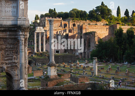 Le Forum Romain et la colline du Palatin (Latin : Forum Romanum, Italien : Foro Romano) Banque D'Images