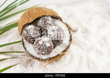 Noix de coco fraîche et des cookies à la noix de coco sur le dessus de la noix de coco à la masse Banque D'Images