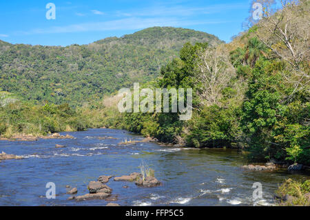 Mountain Pine Ridge Forest Reserve au Belize Banque D'Images