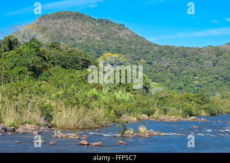 Mountain Pine Ridge Forest Reserve au Belize Banque D'Images