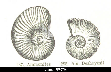 46 de "grandes lignes de la géologie ... Deuxième édition révisée, etc' Banque D'Images