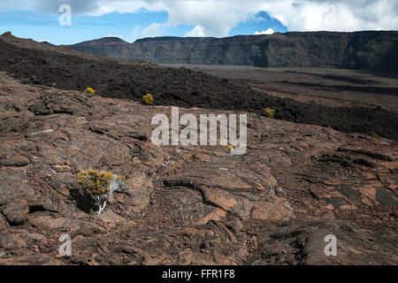 Paysage volcanique, la caldeira du Piton de la Fournaise, Réunion, France Banque D'Images