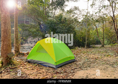 Les tentes de camping sous les grands arbres dans le parc national. Banque D'Images