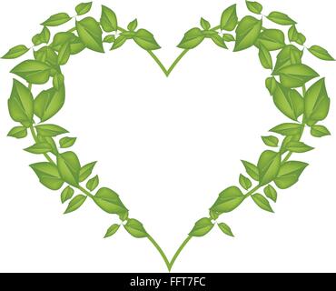 Concept d'amour, de l'illustration de belles feuilles vertes formant en forme de coeur isolé sur fond blanc. Illustration de Vecteur