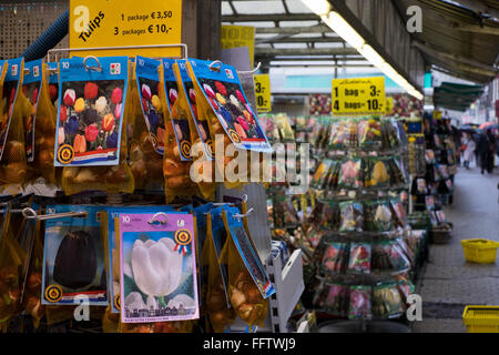 Paquets de bulbes de tulipes dans le marché de la fleur de Bloemenmarkt à Amsterdam, Pays-Bas Banque D'Images