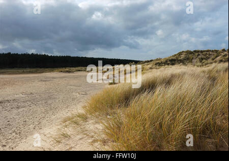 Holkham beach, North Norfolk, Angleterre Banque D'Images