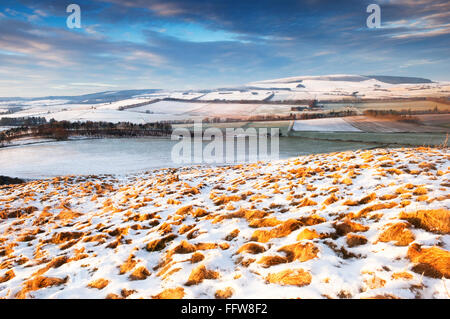 Vue depuis la colline Dunnideer en hiver, près du village de Landes - Aberdeenshire, en Écosse. Banque D'Images