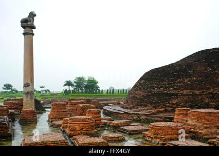 Pilier d'Ashoka , Kolhua , Vaishali Bihar , , Inde Banque D'Images