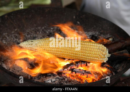 Les cors d'or , le maïs conservé sur feu de charbon pour la cuisson des flammes orange barbecue brûlant Banque D'Images