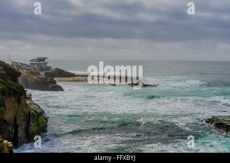 La Jolla sur jour de pluie où les lions de mer le tirer vers le haut pour le pan hors de l'eau Banque D'Images