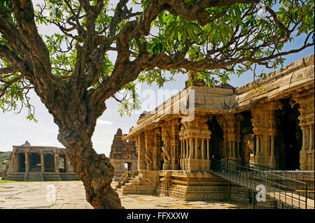 Shri Vijaya Vitthala temple , 15e siècle , Hampi Vijayanagar, Dist Bellary , Karnataka , Patrimoine Mondial de l'Inde Banque D'Images