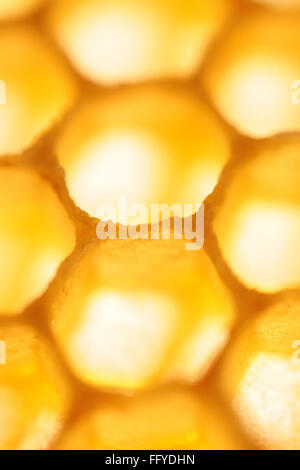 Jaune soleil lumineux nid d'abstract background verticale Banque D'Images