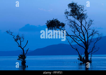 Chidiya tapu Port Blair de l'île Andaman Asie Inde Banque D'Images