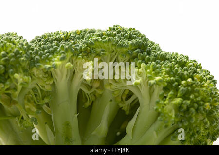 , Légumes Brocoli sur fond blanc Banque D'Images