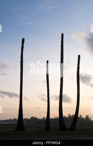 La sécheresse , longue période sans pluie palmiers en silhouette , Tamil Nadu , Inde Banque D'Images