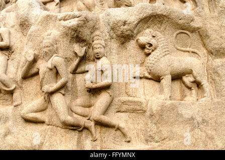 La pénitence d'Arjuna ou la pénitence de Bhagiratha plein air énorme monolithe bas relief 7ème siècle situé à Mahabalipuram Tamil Nadu Banque D'Images