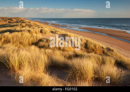 Balmedie Beach - près d'Aberdeen, en Écosse. Banque D'Images