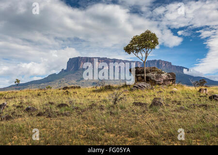 Tablemountain Roraima avec les nuages, le Venezuela, l'Amérique latine. Banque D'Images