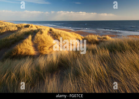 Balmedie Beach - près d'Aberdeen, en Écosse. Banque D'Images