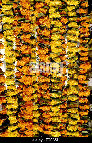 Fleur avec feuilles de manguier de guirlandes de fleurs de couleur orange zandu Banque D'Images