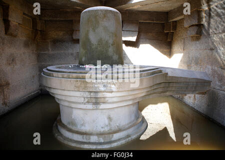 Badavi Shivalinga culte inondé 10ft de haut linga en partie sous l'eau du plateau du Deccan Hospet Hampi Vijayanagar Bellary Karnataka Banque D'Images