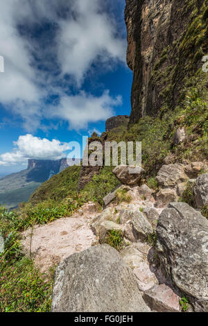 Vue depuis le Roraima tepui sur Kukenan tepui au mist - Venezuela, Amérique du Sud Banque D'Images