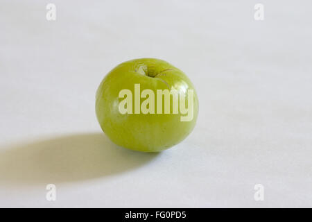 Amla, phyllanthus emblica, emblématique, myrobalan emblématique, myrobalan, Groseille de chèvre indienne, Malacca, une pièce sur fond blanc, plateau de table, Banque D'Images