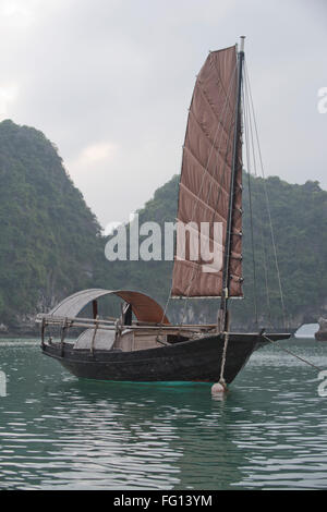 Un seul a navigué junk amarré dans un village de pêcheurs dans la baie d'Halong, Vietnam du Nord Banque D'Images