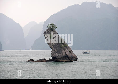 Un petit karst calcaire, les vestiges d'une beaucoup plus grande l'un après l'île s'est dégradée dans la baie d'Halong. Banque D'Images