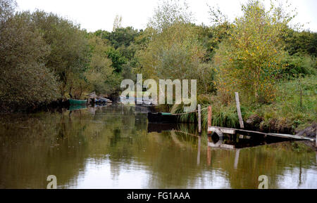 Excursion en bateau dans les marais,village de Breca,Saint-Lyphard,Parc Naturel Régional de Brière, Loire-Atlantique, Pays de Loire, France Banque D'Images