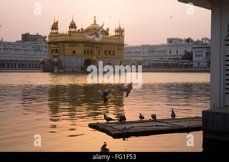 Harimandir Sahib swarn mandir ou temple d'or d'Amritsar Punjab , , , Inde Banque D'Images