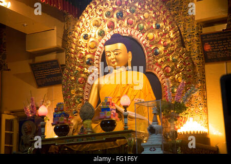 Bouddha Sakyamuni idol complexe Tsuglagkhang temple Dalaï-lama , Mcleod Ganj Himachal Pradesh , Himalaya , Inde Banque D'Images