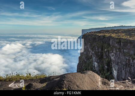 Vue depuis le Roraima tepui sur Kukenan tepui au mist - Venezuela, Amérique du Sud Banque D'Images