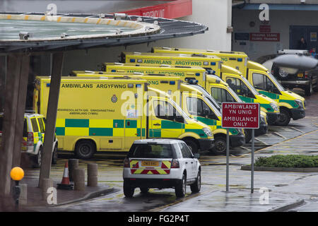 Ambulances à l'extérieur de l'Hôpital universitaire du pays de Galles et d'accidents d'urgence à Heath, Cardiff, Pays de Galles du Sud. Banque D'Images